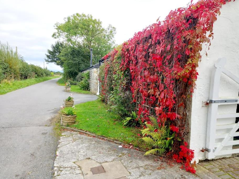 Rhos Y Bel Cottage Angelsey Llangadwaladr  Buitenkant foto
