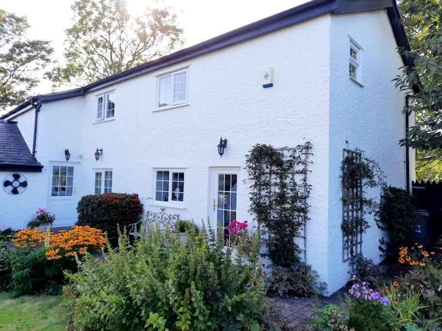 Rhos Y Bel Cottage Angelsey Llangadwaladr  Buitenkant foto
